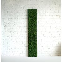 Moss Wall Art/Moss Panel Living Wall Art House Jungle Frame Green Decor Black | Etsy (US)