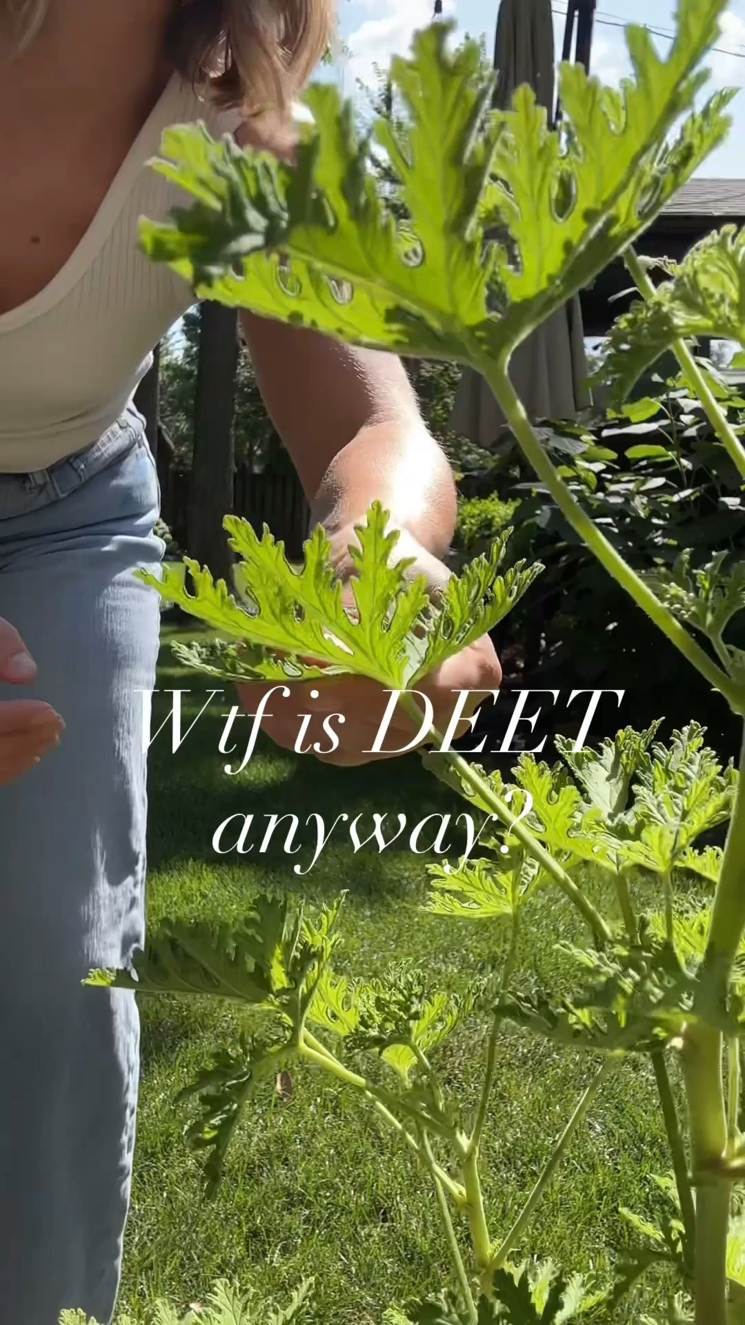 I’m just over here rubbing citronella on my skin instead! 🌿🪴

Let’s be real for a second—conventional bug sprays loaded with DEET get the job done, but at what cost? DEET is a heavy-duty synthetic chemical designed to paralyze a bug's nervous system - Absorbing that through our skin on the daily isn't ideal, especially for little ones.

Now, is there a time and place for DEET? Maybe 🤔 . If you're deep in the back-country or traveling where tick-borne illnesses or mosquito-vectored diseases are a high risk, chemical protection is totally warranted.

But for everyday backyard hangouts, gardening, and short low-risk stretches outside, I’ll take the plant route every single time.

Linking a few of my favorite clean, non-toxic bug sprays and natural defense products right here for you guys so you have them on hand ✨

What's your stance on bug spray—are you team synthetic or team botanical?

#NonToxicLiving
 #NaturalBugRepellent
 #LowToxLiving

#LTKmomlife #LTKKids #LTKHome