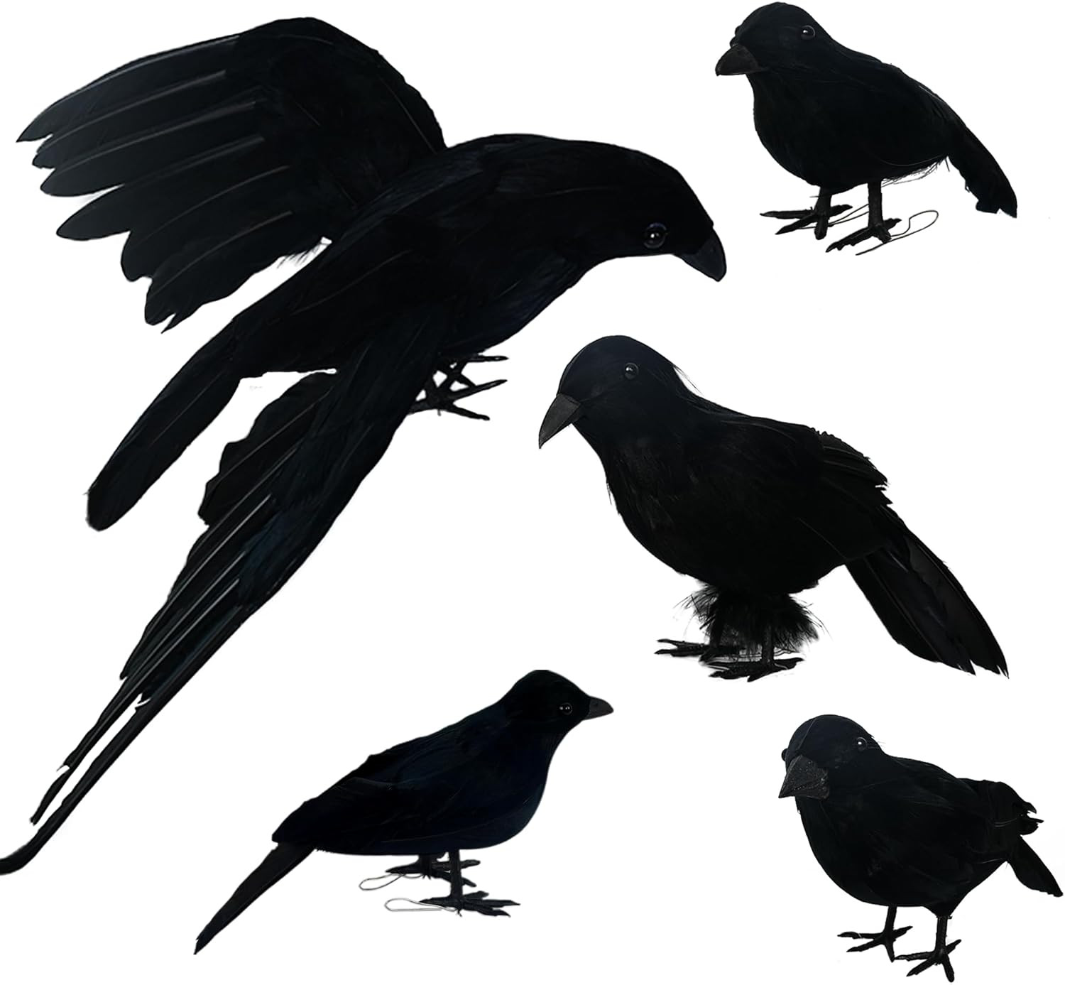 NEROSUN 5 Pack Halloween Black Feathered Crows, Realistic Feathered Black Birds Raven, Halloween ... | Amazon (US)