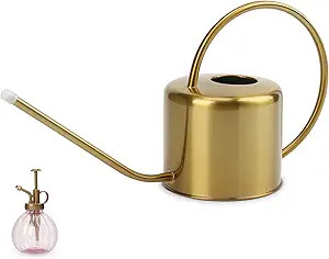Remiawy Watering Can Indoor Outdoor Stainless Steel Watering Cans for House Plants Long Spout Wat... | Amazon (US)