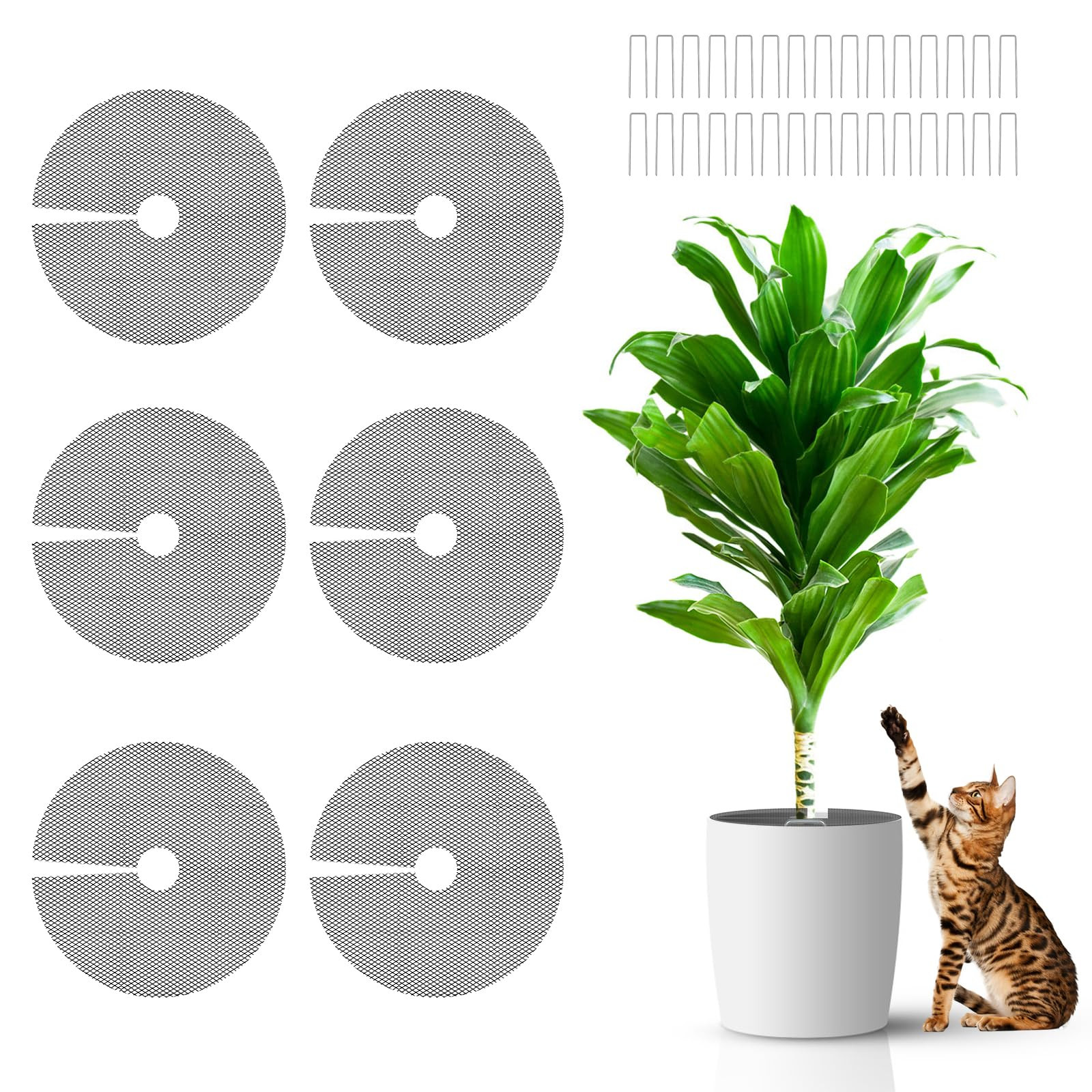 6 Pcs 15.7 Inch Plant Pot Grids，Cut-able Plant Pot Soil Protective Covers from Animals，Used t... | Amazon (US)