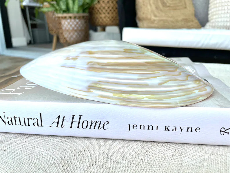 Giant Mussel Shell Half's *All Sizes* Polished Mother of Pearl Decorative Dish | Etsy (Global)