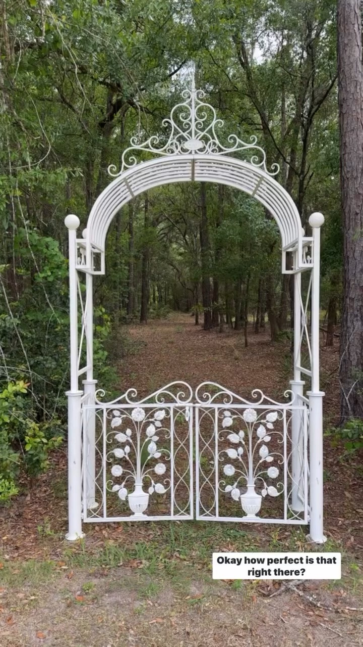 This gorgeous arch we found is available @Wayfair ￼

#LTKSeasonal #LTKOver40 #LTKdayinmylife