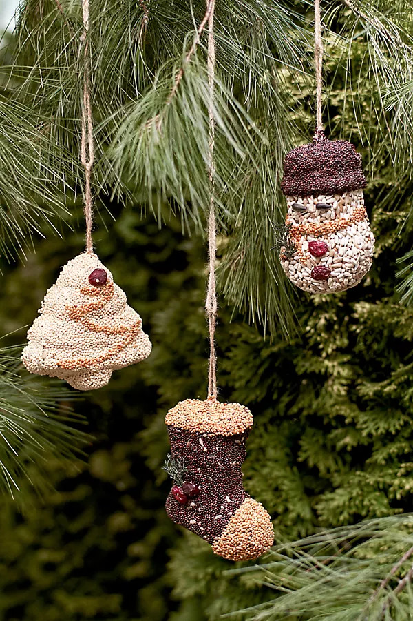 Bird Seed Festive Ornaments, Set of 3 | Terrain