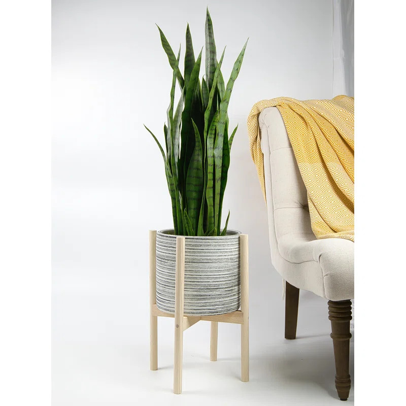 Berube Kizer Mid Century Pot Planter | Wayfair North America