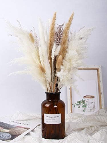 Pampas Grass-Natural Dried Pampas Grass Decor for Home Arrangements, Boho Bouquet,18 Inch 30pcs D... | Amazon (US)