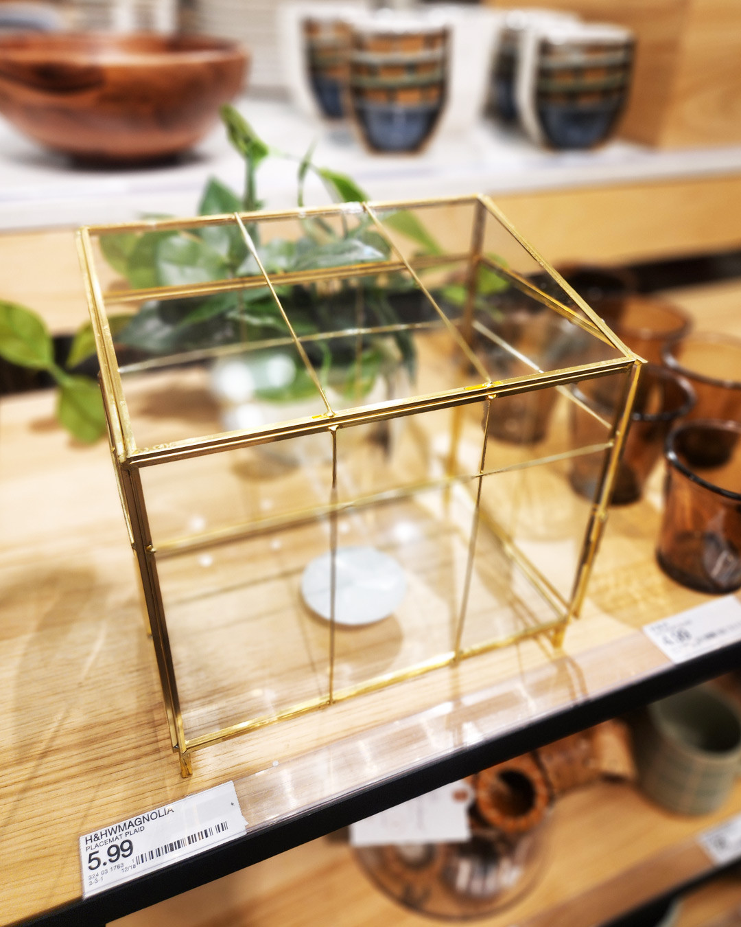 Hearth & Hand with Magnolia Mini Greenhouse Brass
#targetdeals #targetfinds 

 #LTKHome