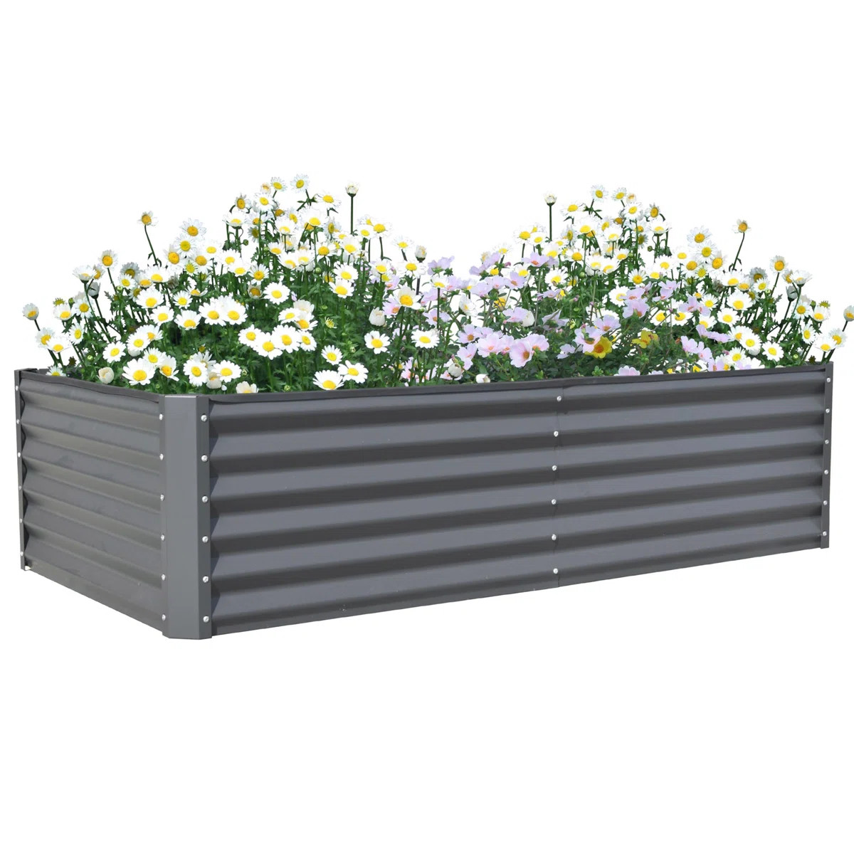 Sacia Metal Raised Garden Bed | Wayfair North America
