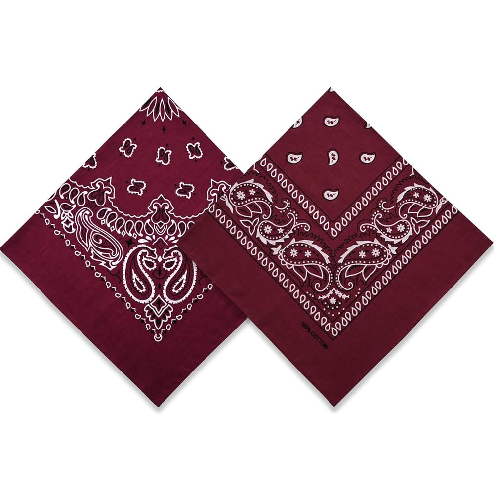 2 Pack Types of Paisley Pattern Bandanas, 22x22 Inches Cotton Bandanas Handkerchief Face Mask for... | Amazon (US)