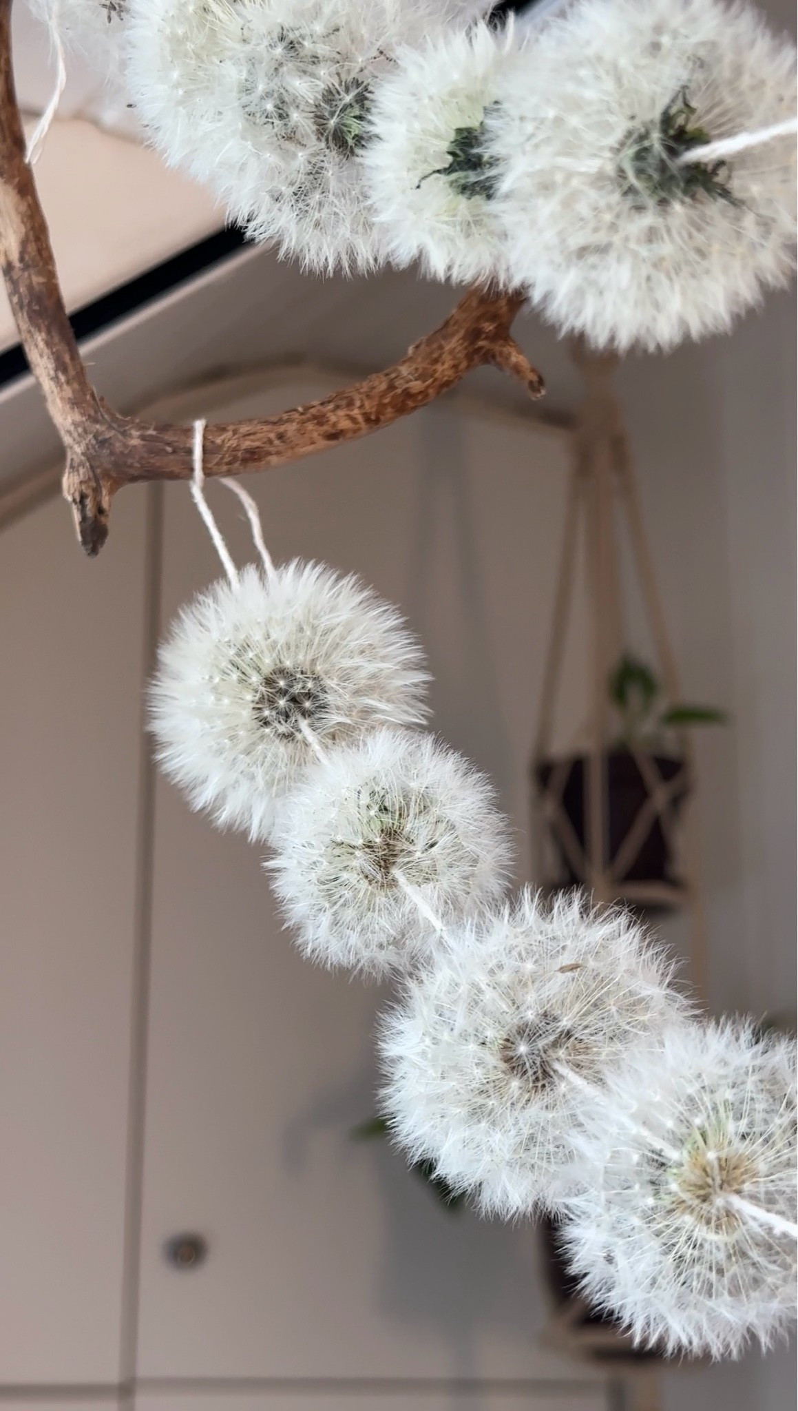 DIY Pusteblumen Girlande 🌸

#LTKhome #LTKspring #LTKsummer