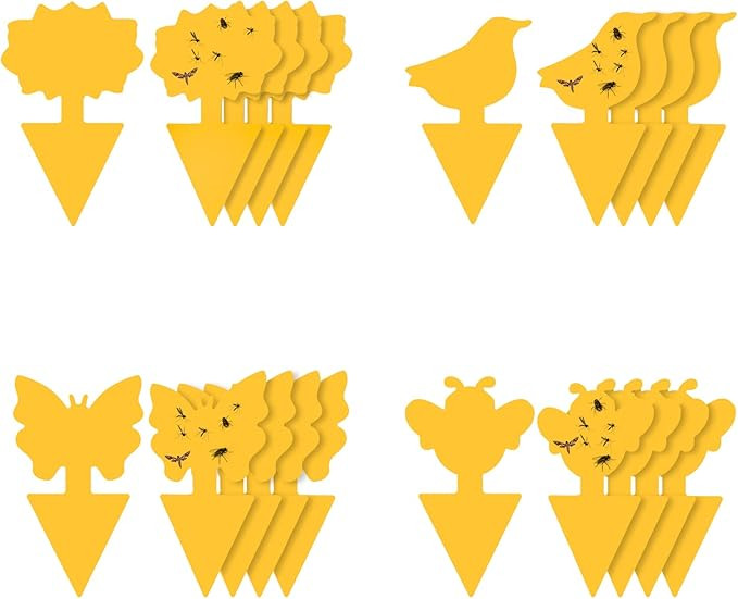 Sticky Traps for Fruit Fly, Whitefly, Fungus Gnat. Non-Toxic and Odorless for Indoor, Outdoor and... | Amazon (US)