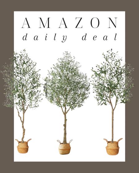 Amazon daily deal! This faux olive tree is a personal favorite! I have it in our dining room. All three sizes on sale now ✨

Faux tree, olive tree, faux greenery, faux plant, dining room, entryway, living room, bedroom, office, greenery, tree, Amazon sale, sale finds, sale alert, sale, Modern home decor, traditional home decor, budget friendly home decor, Interior design, look for less, designer inspired, Amazon, Amazon home, Amazon must haves, Amazon finds, amazon favorites, Amazon home decor #amazon #amazonhome

#LTKstyletip #LTKsalealert #LTKhome