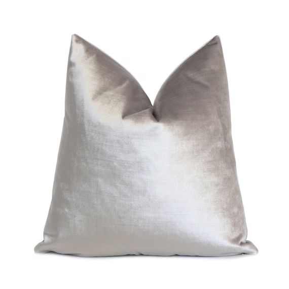 Silver Gray Velvet Designer Throw Pillow Cover with Zipper, Living Room Home Decor, Sofa Couch, E... | Etsy (US)
