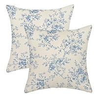 Chinoiserie Pillow Covers 18x18 Set of 2 Blue Green Bird Floral Throw Pillows Vintage Blue Flower... | Amazon (US)