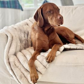 Cozy Pet Couch Blanket | Mark and Graham