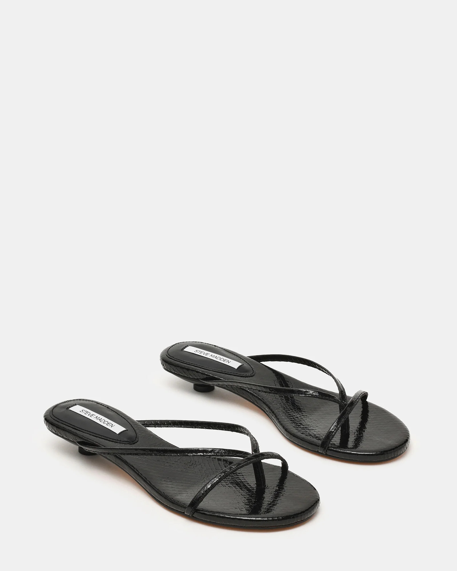 TERRY Black Snake Thong Women's Kitten Heel | Steve Madden (US)