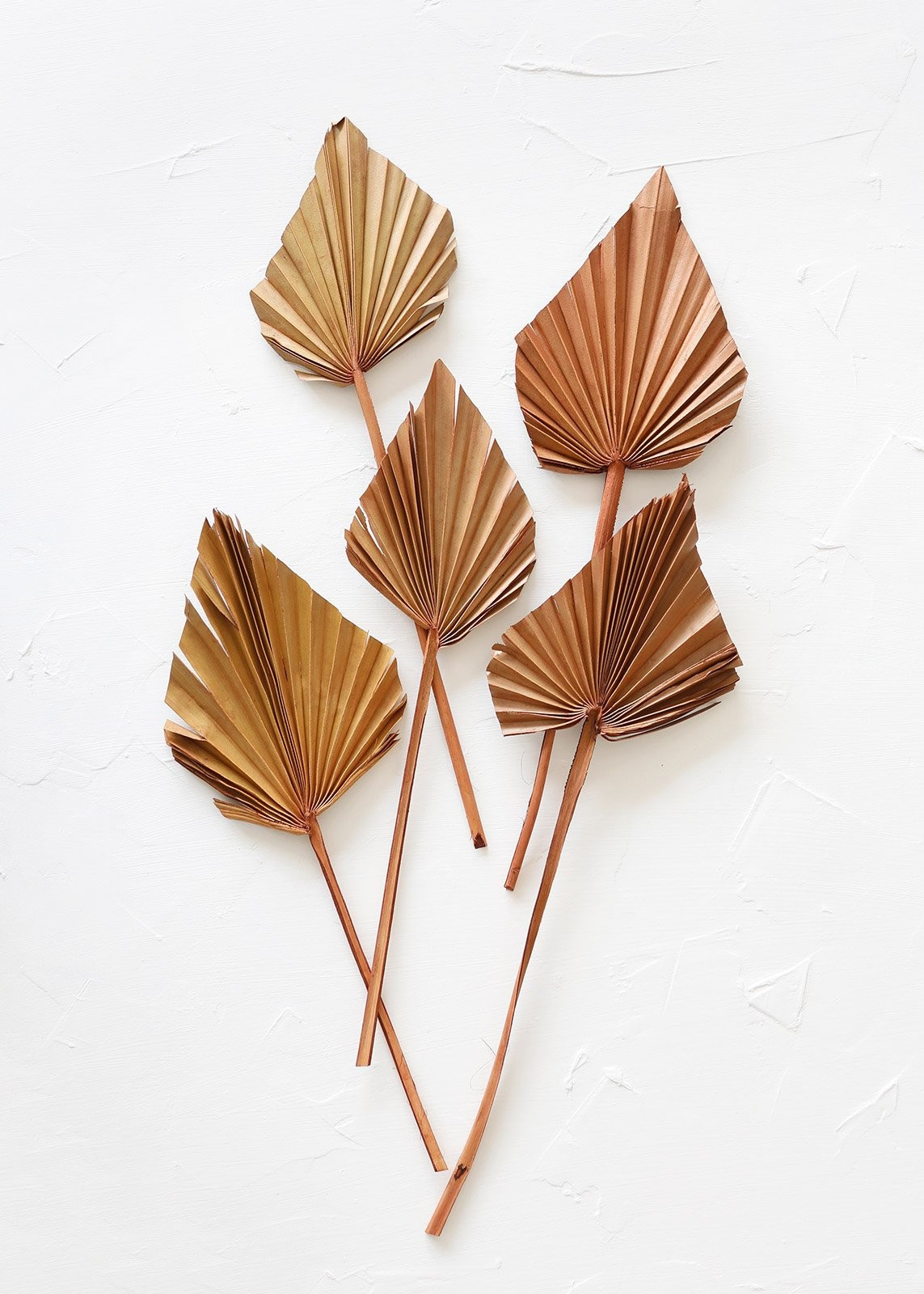 Pack of 5 - Afloral Dried Mini Palm Spears in Terracotta Orange | Afloral (US)