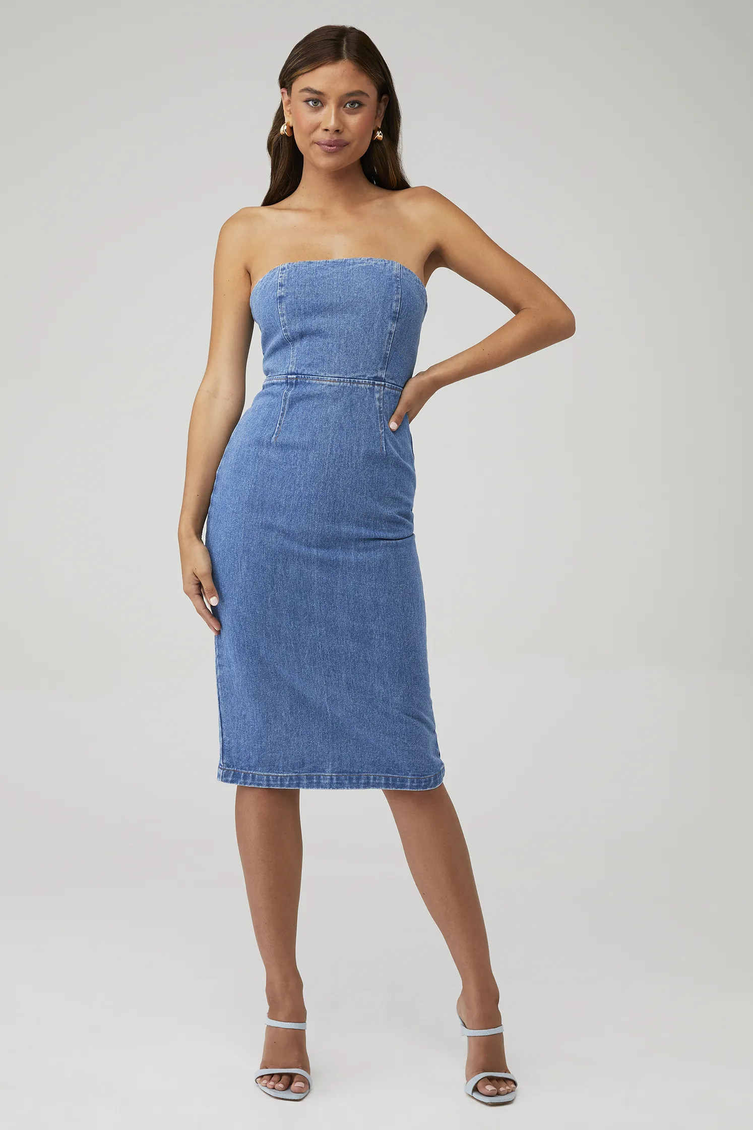 VANDA DENIM MIDI DRESS | FashionPass
