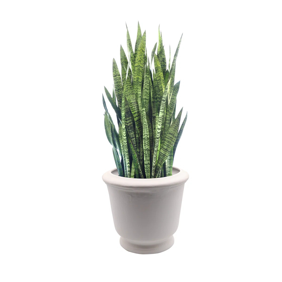 Talavera Ceramic Pot Planter | Wayfair North America