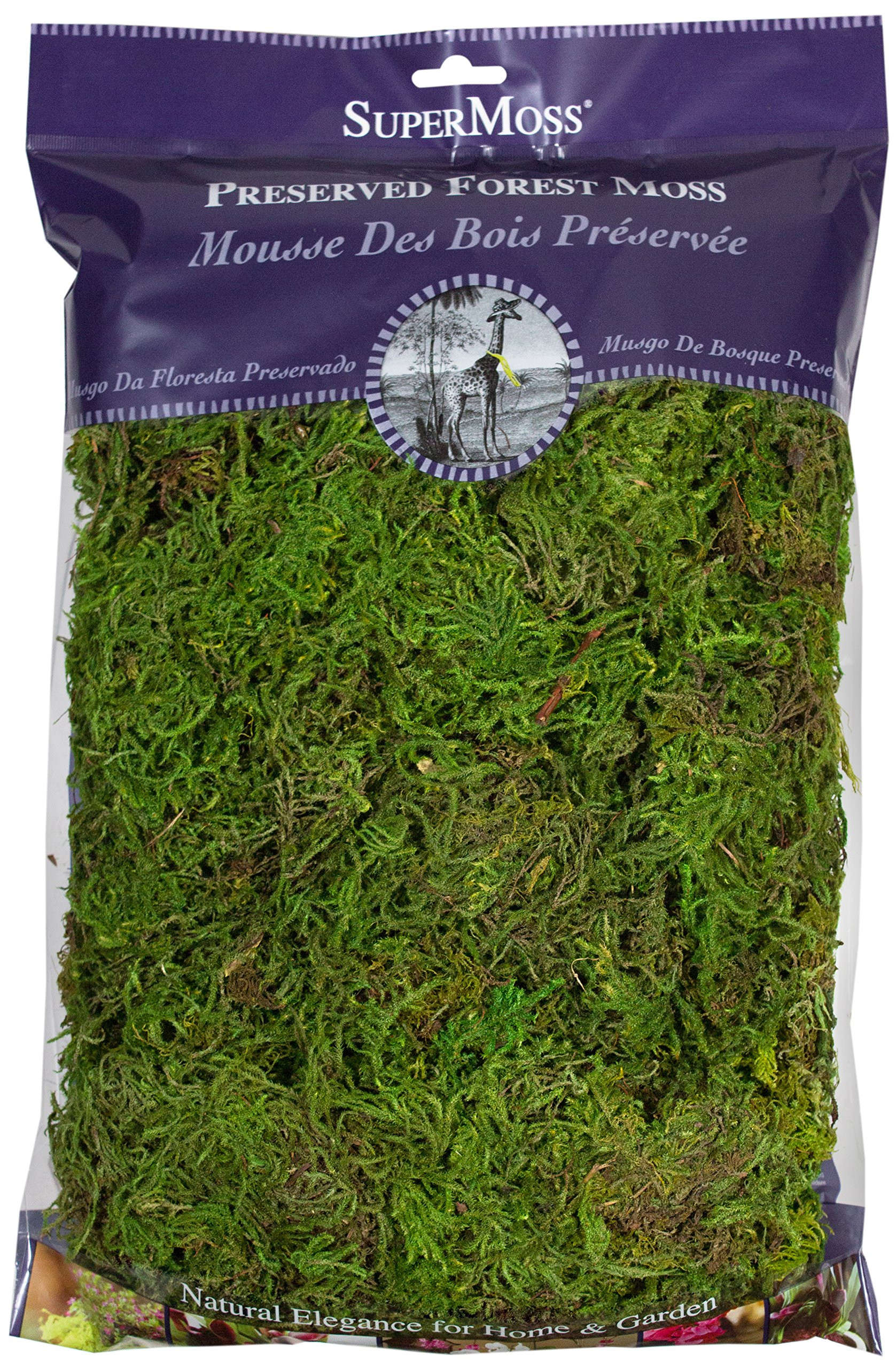 SuperMoss (25322) Forest Moss Preserved, Fresh Green, 8oz | Amazon (US)