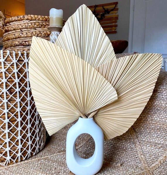 Dried Palm Spear | 3 Piece Large Natural Trimmed Palm | Home Decor, Boho Wedding Decor, Dried  Bo... | Etsy (US)