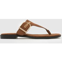 schuh Teena Buckle Toe Post Sandals in Brown | Schuh