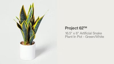 16.5" x 6" Artificial Snake Plant In Pot Green/White - Project 62™ | Target