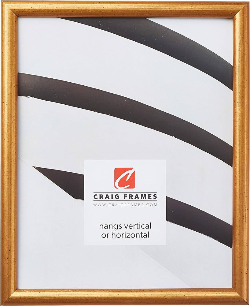 Craig Frames Bullnose, Antique Gold Picture Frame, 18 by 24-Inch | Amazon (US)