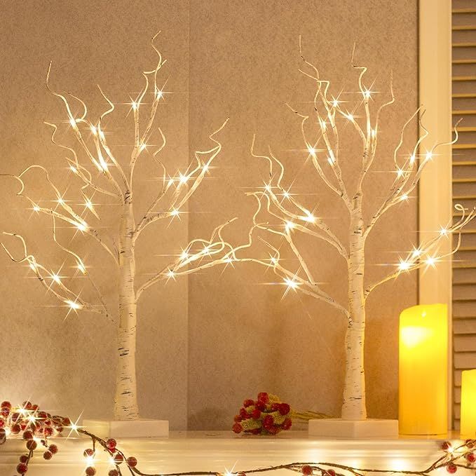 Vanthylit Tabletop Christmas Tree, White Birch Tree with LED Lights- Set of 2, Warm White Small T... | Amazon (US)