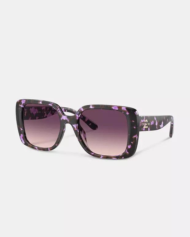 Oversized Square Sunglasses | Coach Outlet US