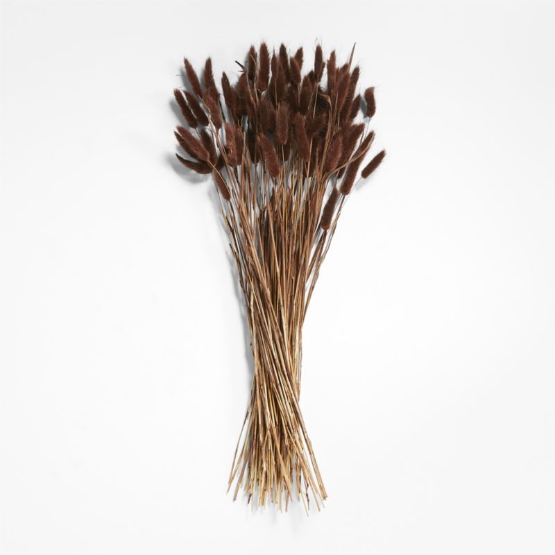 Dried Brown Bunny Tail Bunch + Reviews | Crate & Barrel | Crate & Barrel