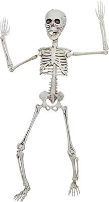 Poseable Halloween Skeleton Figurine Decoration, 19 Inch | Amazon (US)