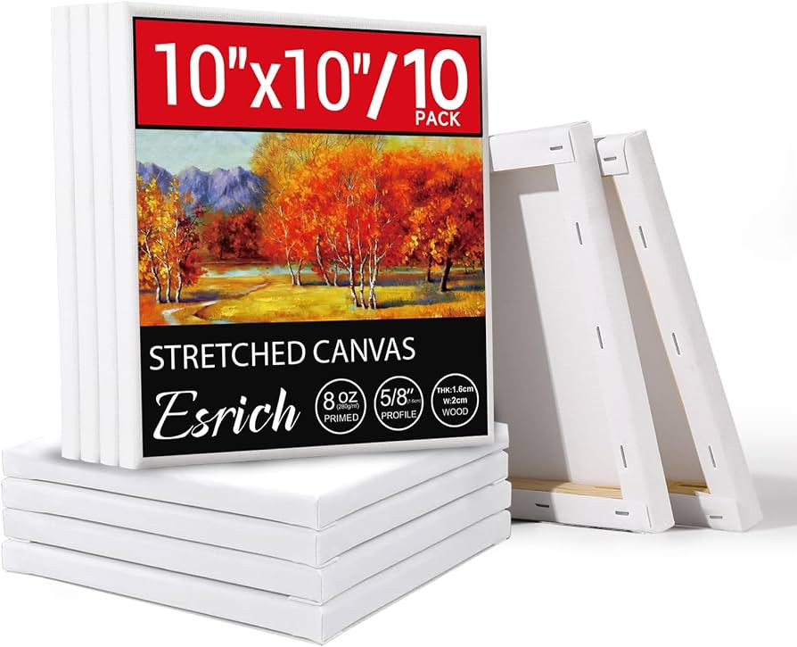 ESRICH 10x10 Stretched Canvas for Painting, 10 Pack Square Canvas for Painting Primed Acid-Free F... | Amazon (US)