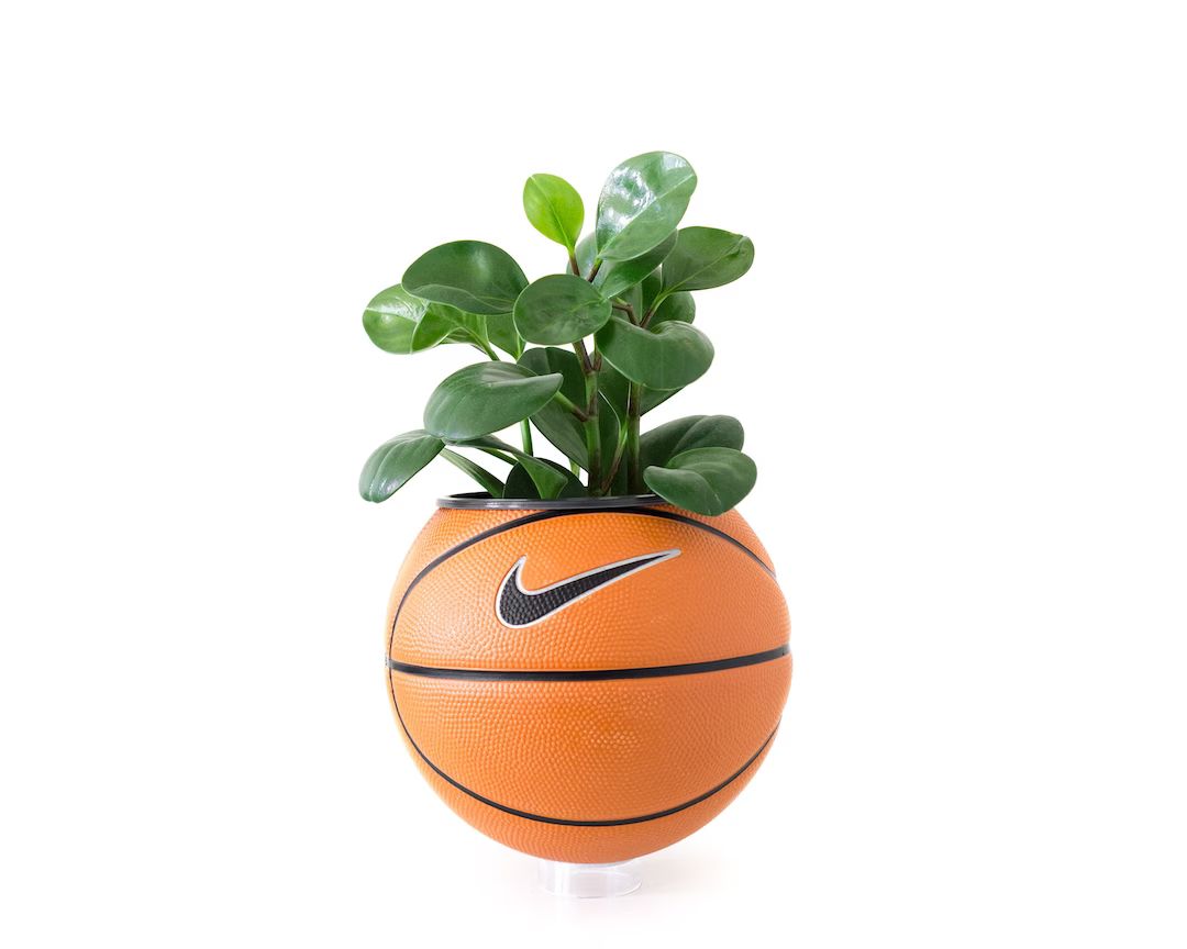 Plntrs  Nike Swoosh Skills Mini Basketball Planter  New Ball - Etsy | Etsy (US)