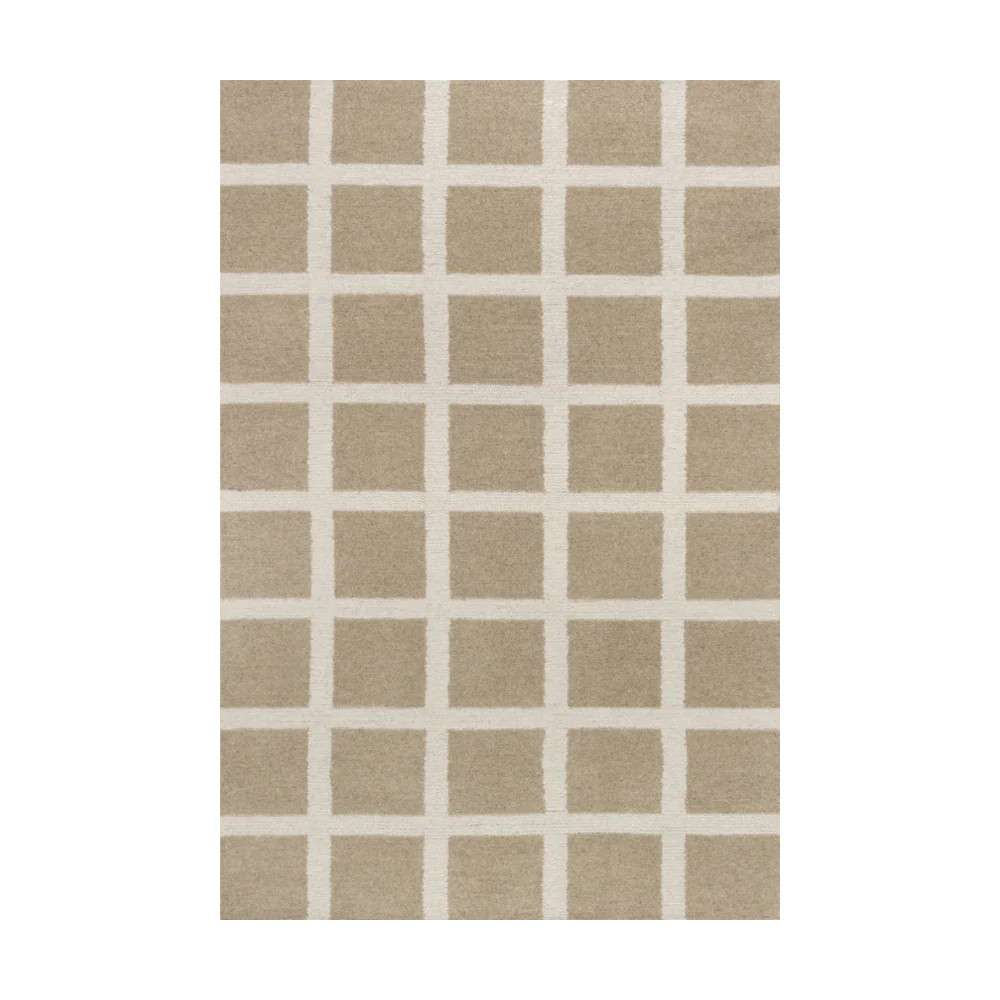 Lysander Checkered Washable Rugs | Rugsway.us
