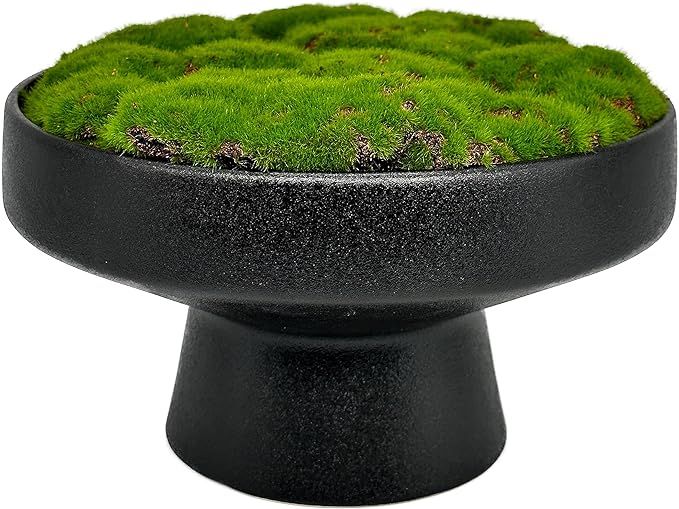 Moss Bowl | 8" Diameter | Artificial | Lightweight Ceramic Pedestal Bowl | Home Décor | Amazon (US)