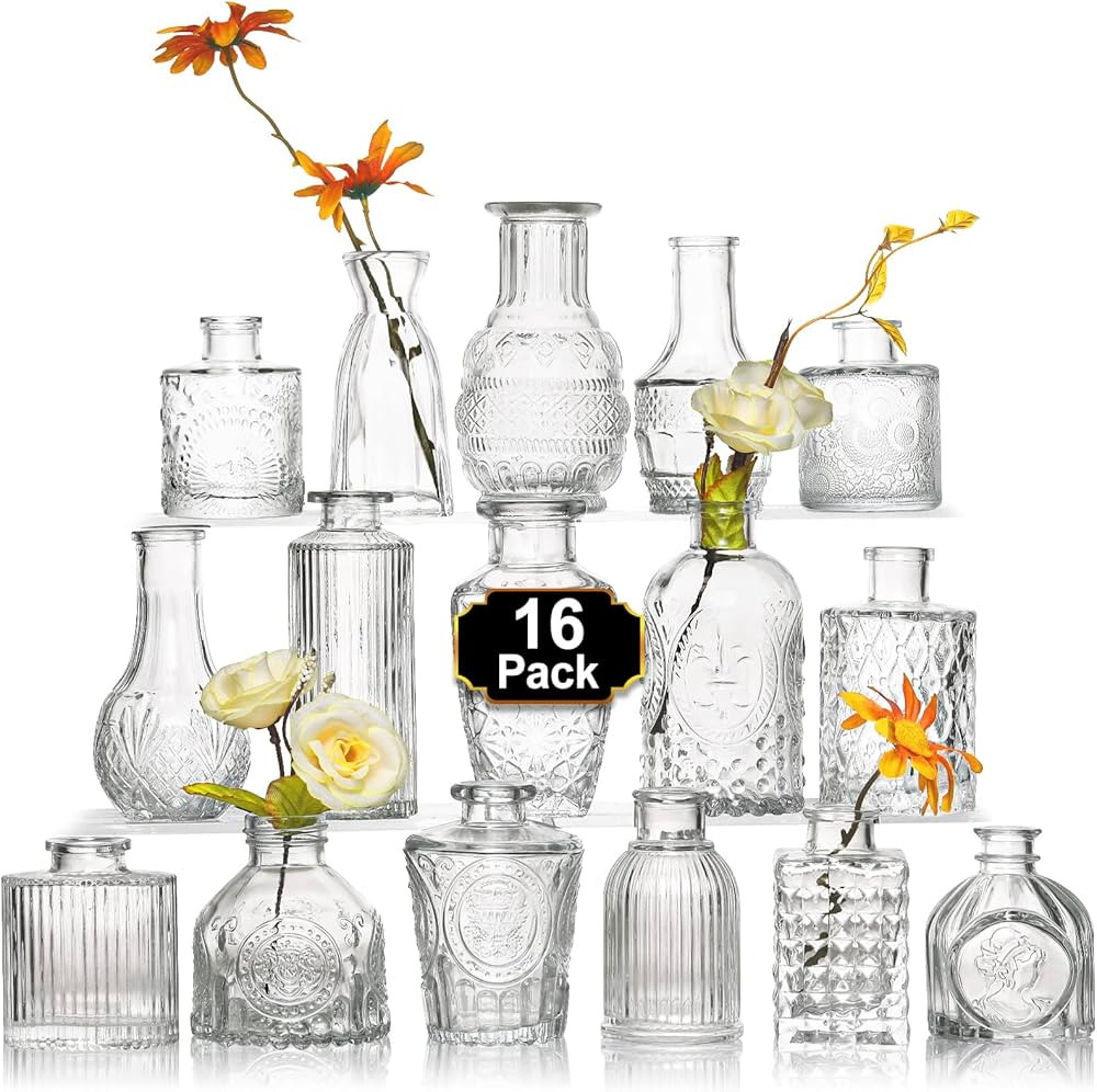 Arme 16Pcs Glass Bud Vase Set，Small Flower Vase for Centerpieces，Clear Bud Vases in Bulk， M... | Amazon (US)