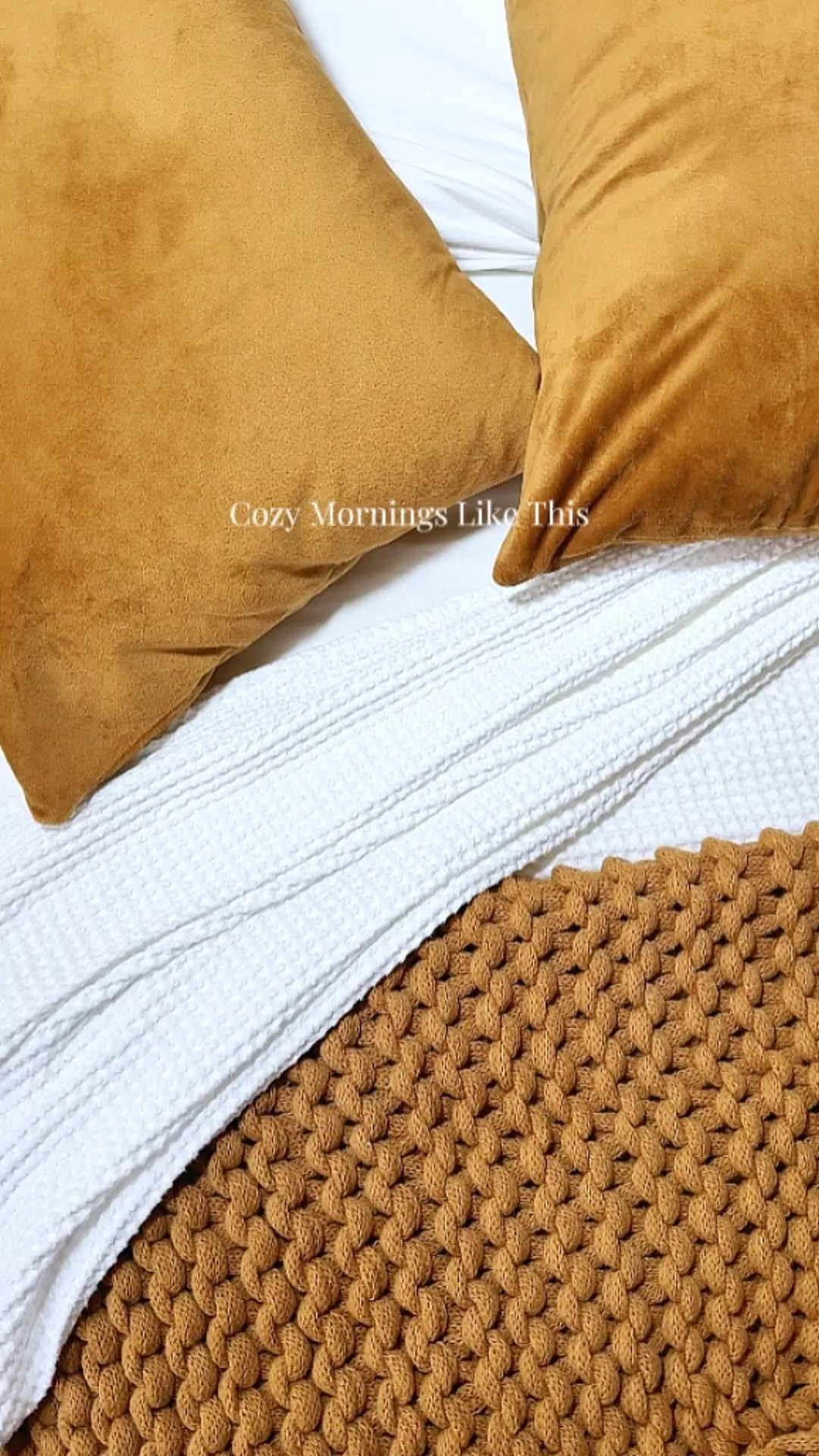 Cozy Morning Like This

houston content creator houston lifestyle creator self-care mornings cozy vibes content creator in houston morning routine inspo mornings like this self care thread home beddings fall winter vibes target blanket cozy home 

#LTKSeasonal #LTKHome #LTKWatchNow