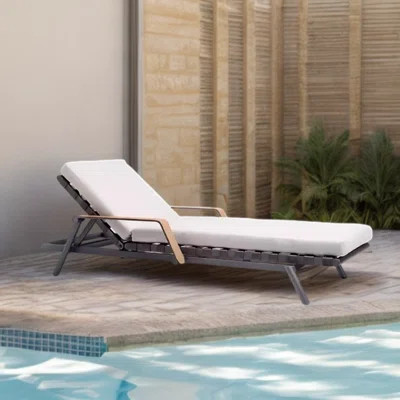 Outdoor Lounge Chair Aluminum Frame Powder Coated Outdoor Chaise Lounge | Wayfair North America