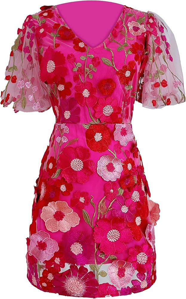 LAI MENG FIVE CATS Women's 3D Floral Embroidery Tulle V-Neck Puff Sleeve Lace Mesh Mini Dress | Amazon (US)