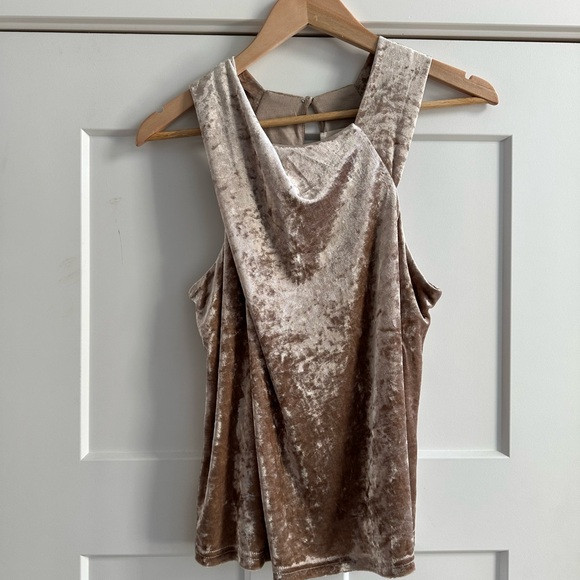 NWT Porridge Crushed Velvet Sleeveless Top | Poshmark