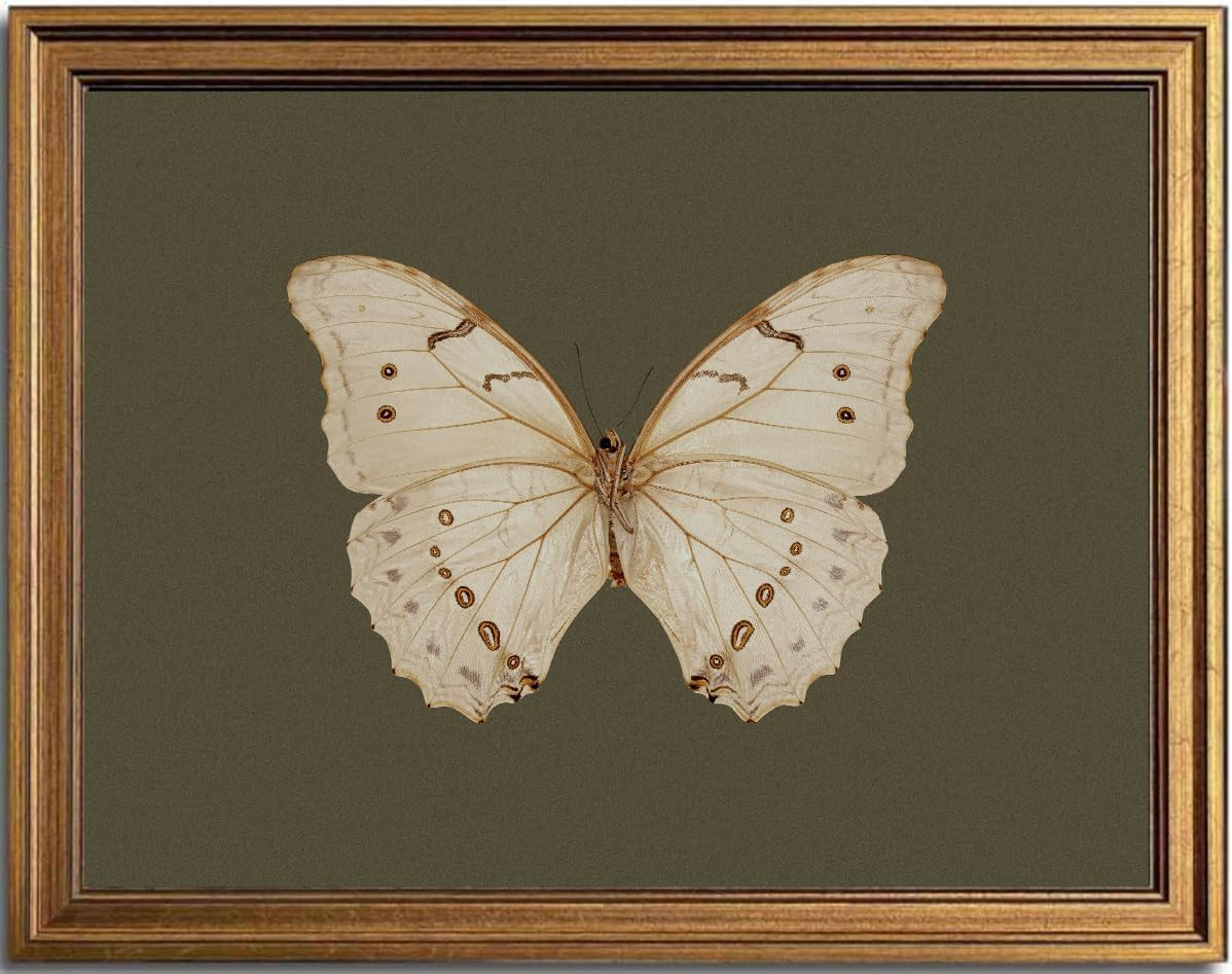 KBKBART Vintage White Butterfly Wall Art, Framed Wall Art Insect Pictures Wall Decor Aesthetic, D... | Amazon (CA)