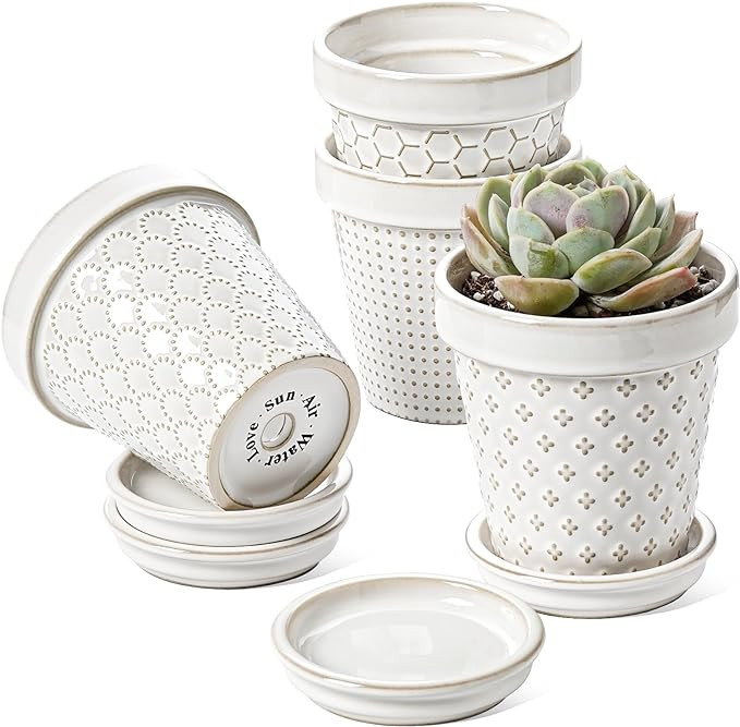 LE TAUCI Succulent Pots, Cute Indoor Plant Pot with Saucer, 4 Inch Mini Ceramic Flower Pots with ... | Amazon (US)