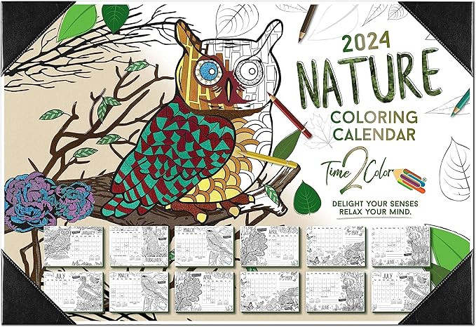 Visit the Time2Color Calendars Store | Amazon (US)