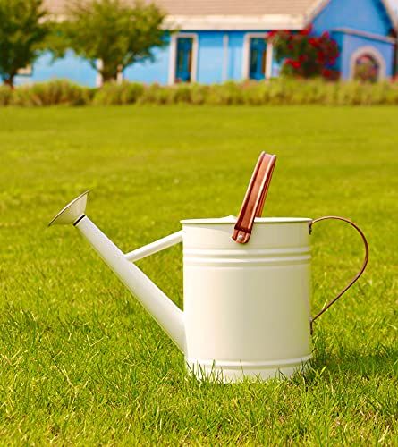 WEQUALITY Watering Can for Outdoor&Indoor Plants，1 Gallon Metal Plant Watering Can with Copper ... | Amazon (US)