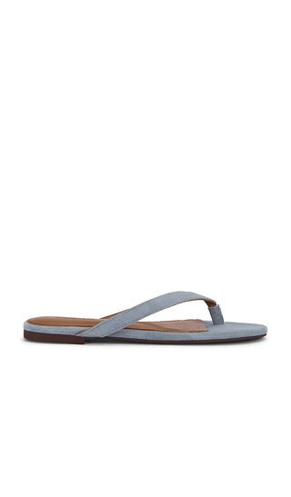 Madewell Iggy Thong Sandal in Baby Blue. - size 5.5 | Revolve Clothing (Global)