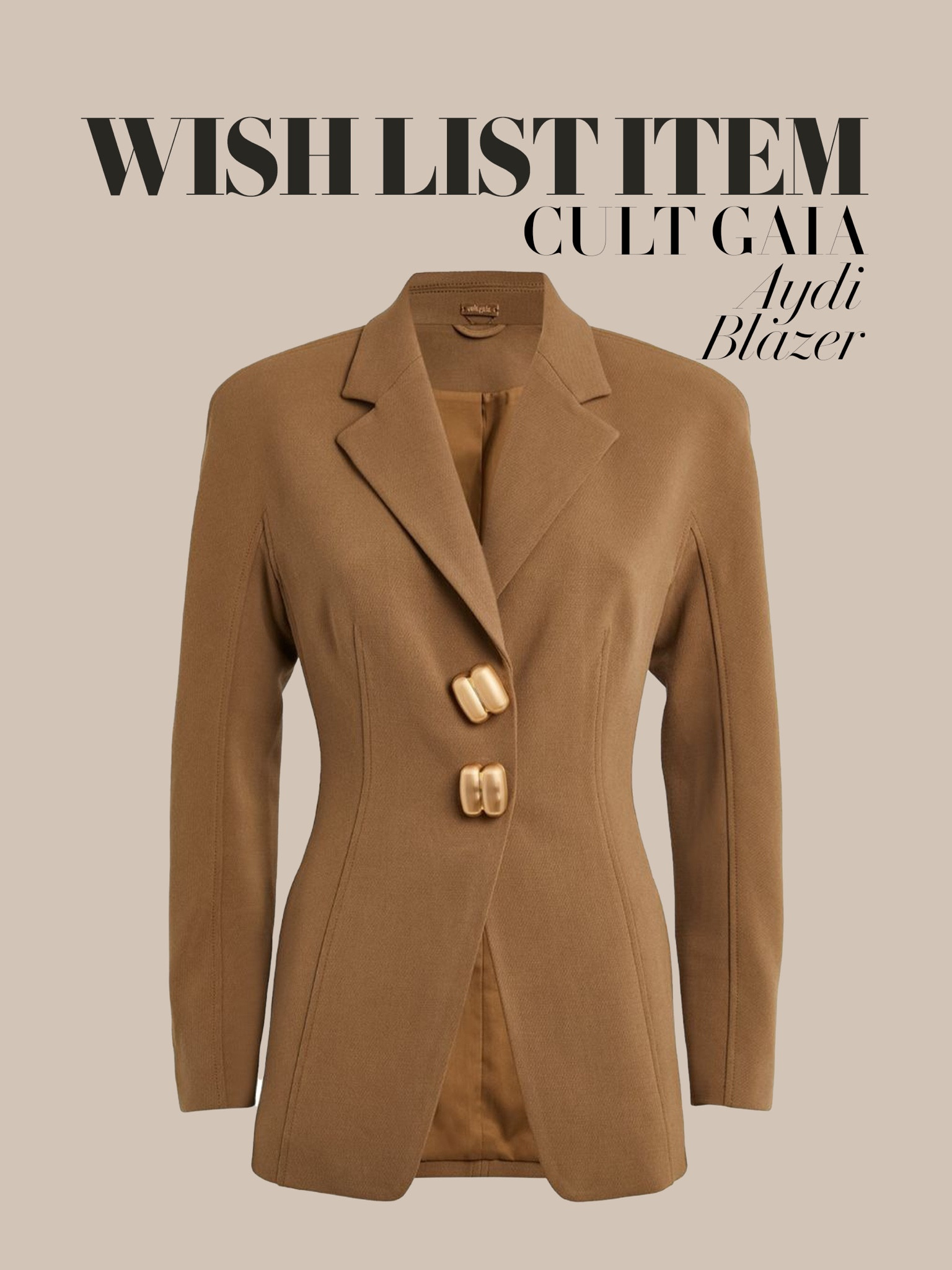BEYOND chic ⚜️⚜️
Camel blazer | Cult Gaia | Fitted suit jacket | Waisted | Gold buttons | Classic outfit | Wedding guest outfits | Spring ideas 

#LTKworkwear #LTKwedding #LTKstyletip