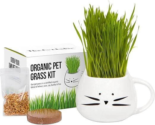 Organic Cat Grass Growing kit with Organic Seed Mix, Organic Soil and Cat Planter. Natural Hairba... | Amazon (US)
