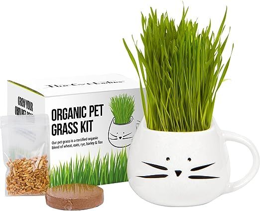 Organic Cat Grass Growing kit with Organic Seed Mix, Organic Soil and Cat Planter. Natural Hairba... | Amazon (US)