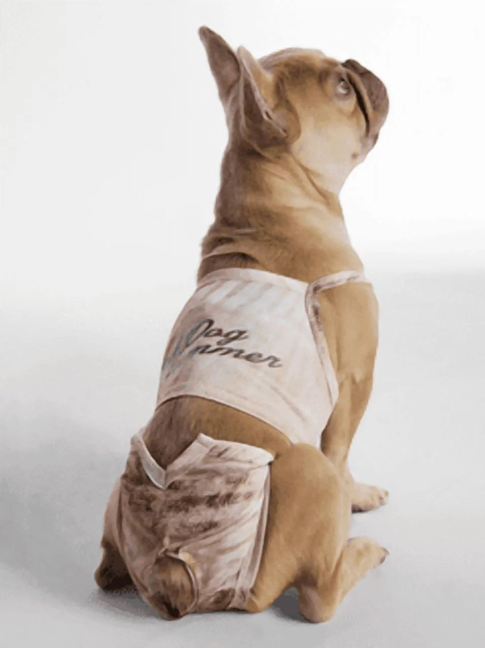Hot Dog Summer by Megan Thee Stallion Shell Bloom Barkini Dog Bikini, Beige, Extra Small | Walmart (US)